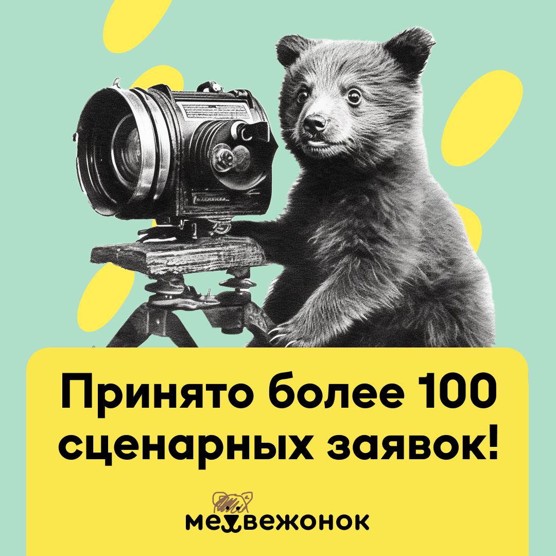 Фестиваль «Медвежонок» принял более 100 сценарных заявок в конкурсе кинопроектов!